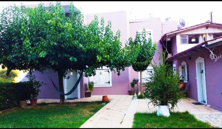 "Villa Kanavos" Apts Matala Exteriér fotografie