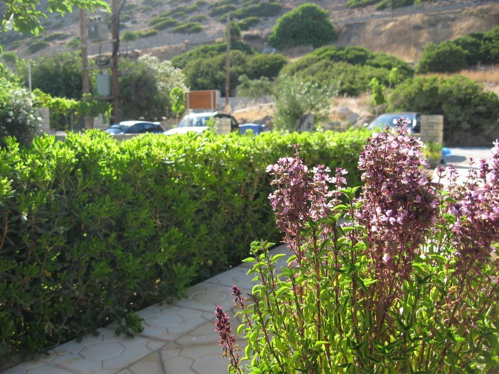 "Villa Kanavos" Apts Matala Pokoj fotografie